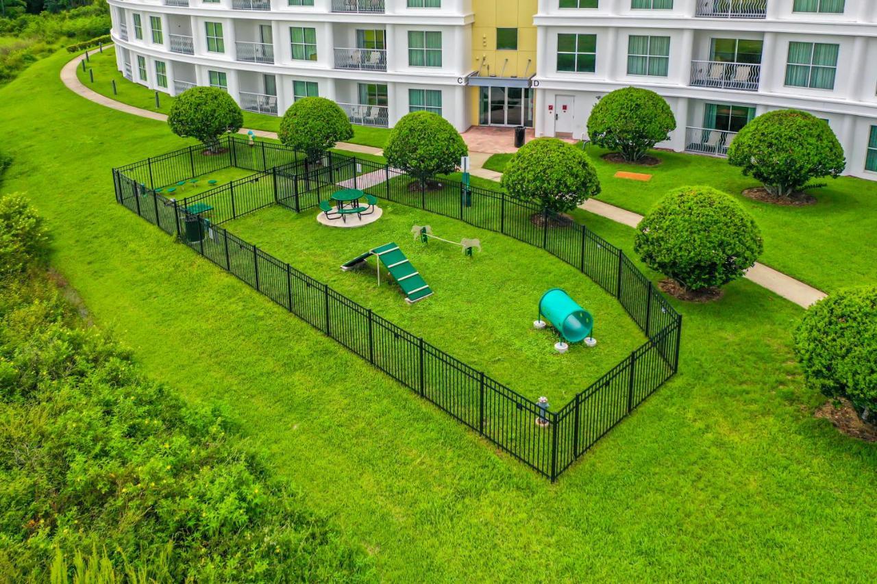 Pet Friendly In Orlando Area Near Disney Celebration Dış mekan fotoğraf